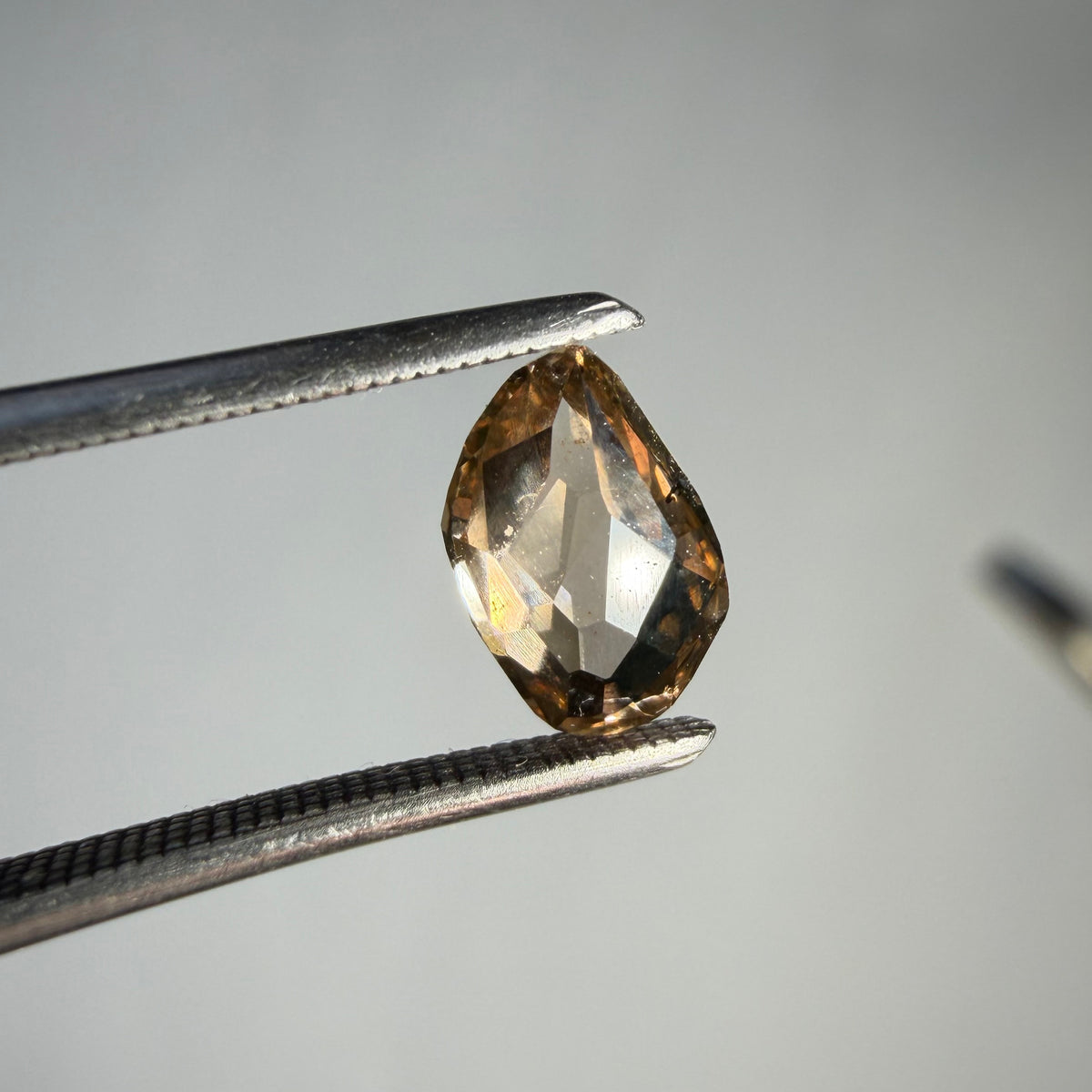 0.70ct Freeform Rose Cut