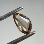 0.60ct Freeform Rose Cut