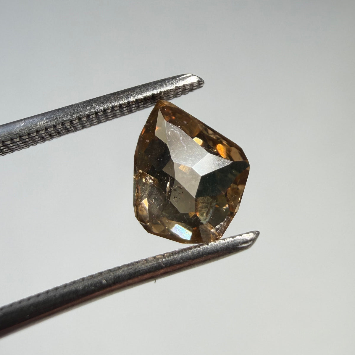 0.83ct Freeform Rose Cut