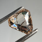 0.99ct Triangle Freeform Rose Cut