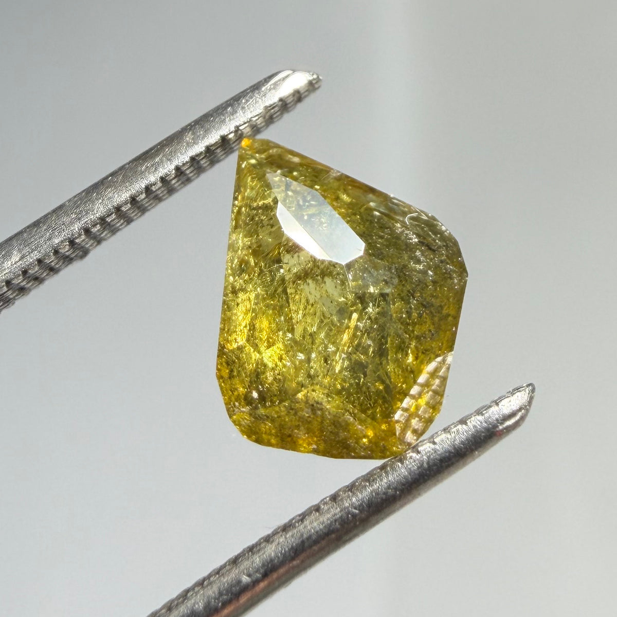0.95ct Freeform Rose cut