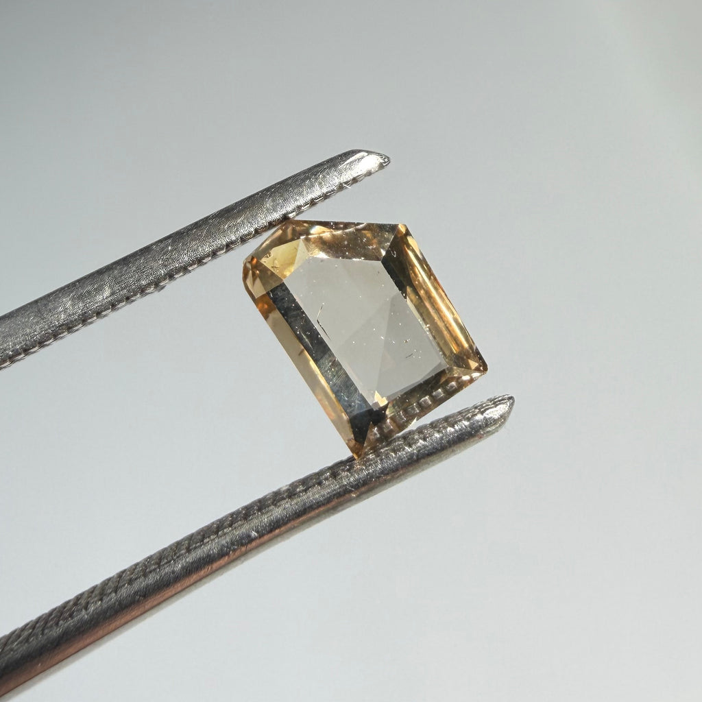 0.42ct Portrait Cut