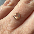 0.42ct Portrait Cut