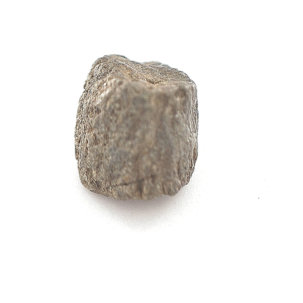 Carbonado sales rough diamond